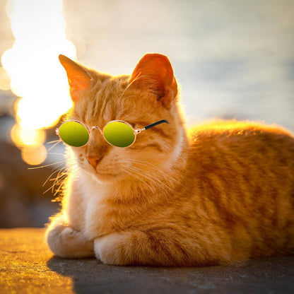 10Pcs Cat Dog Sunglasses Funny Pet Glasses round Metal, Mixed Color