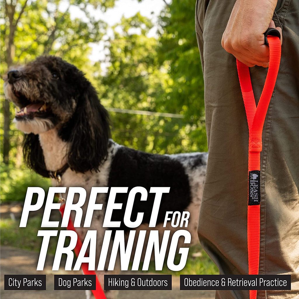 Free Range - 3/4 Inch Nylon Training Leash - for Large and Medium Dogs - Long Lead with Handle - Great for Training, Play, Camping, or Backyard (50 Ft, Orange)