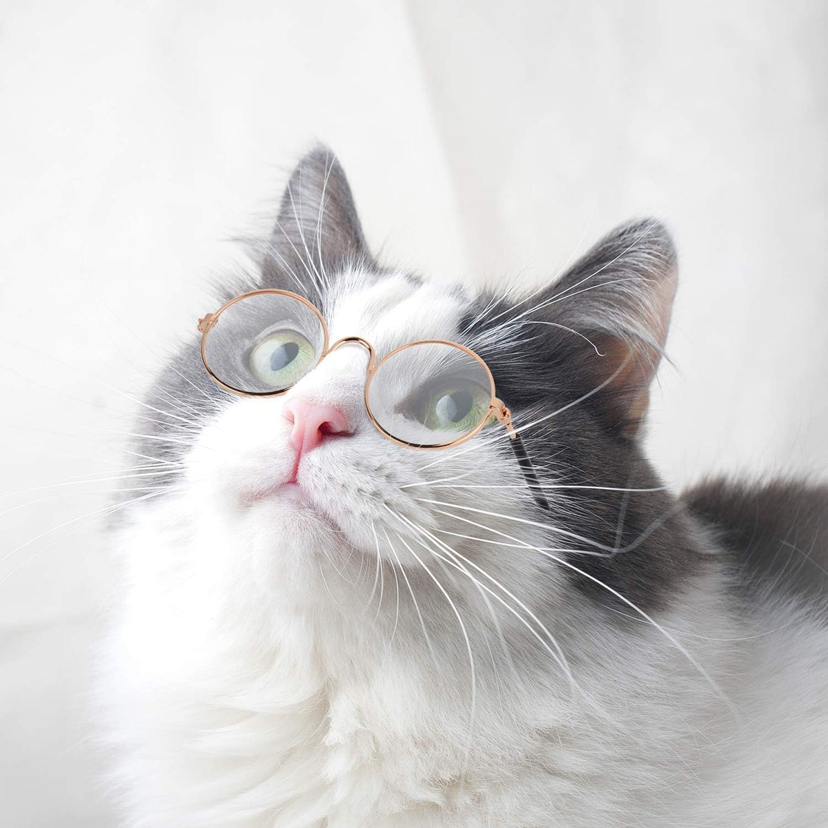 10Pcs Cat Dog Sunglasses Funny Pet Glasses round Metal, Mixed Color
