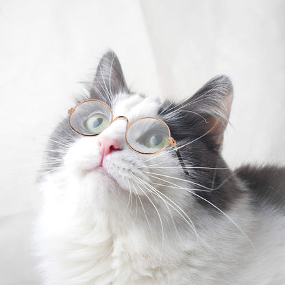 10Pcs Cat Dog Sunglasses Funny Pet Glasses round Metal, Mixed Color