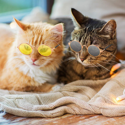 10Pcs Cat Dog Sunglasses Funny Pet Glasses round Metal, Mixed Color