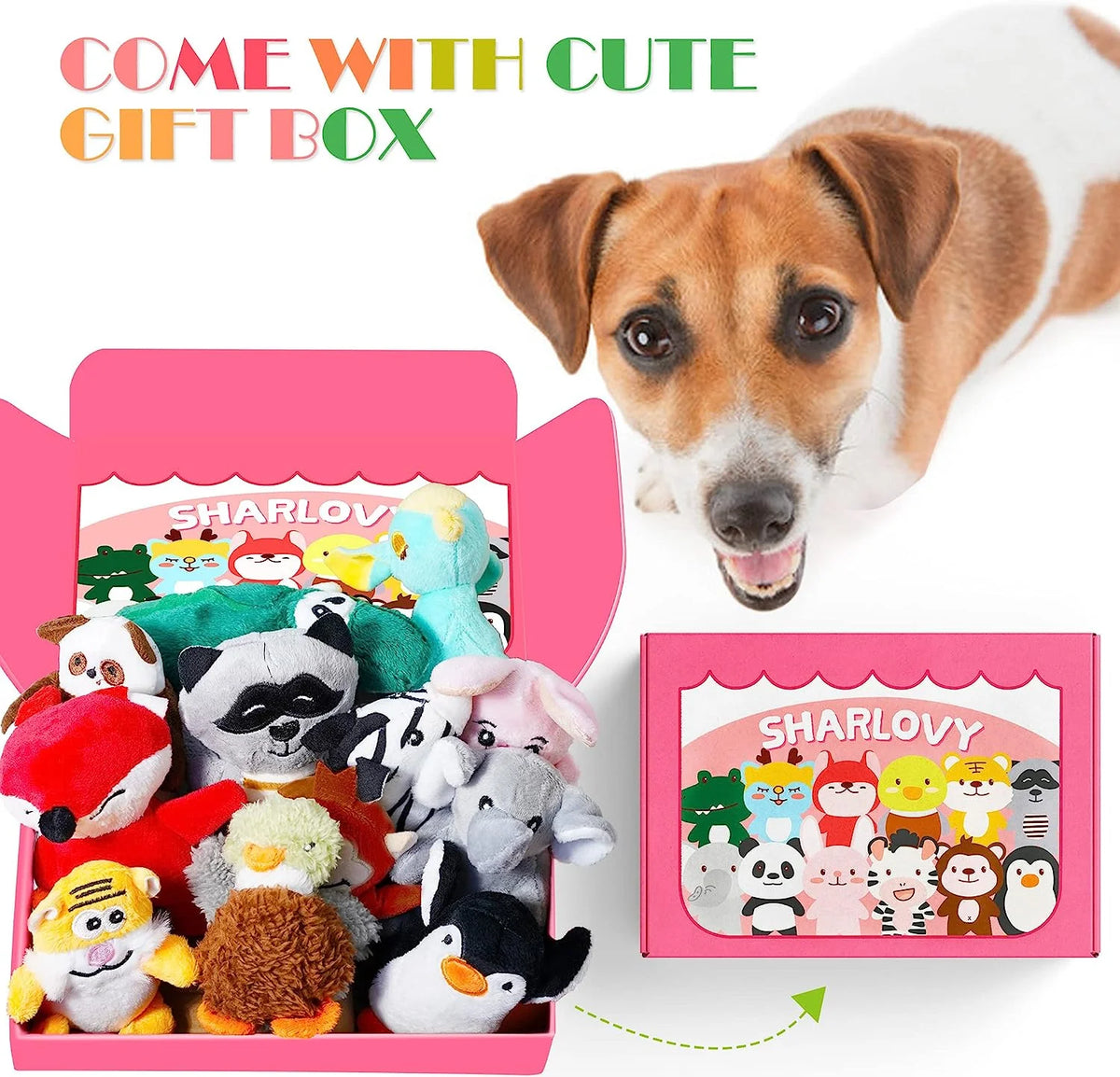 Dog Squeaky Toys for Small Dogs,Stuffed Animal Puppy Toys,Cute Puppy Chew Toys for Dog Teething Toys, Pet Toys for Small to Medium Dogs,Soft Dog Toys,Plush Dog Toy Pack 12 in Gift Box