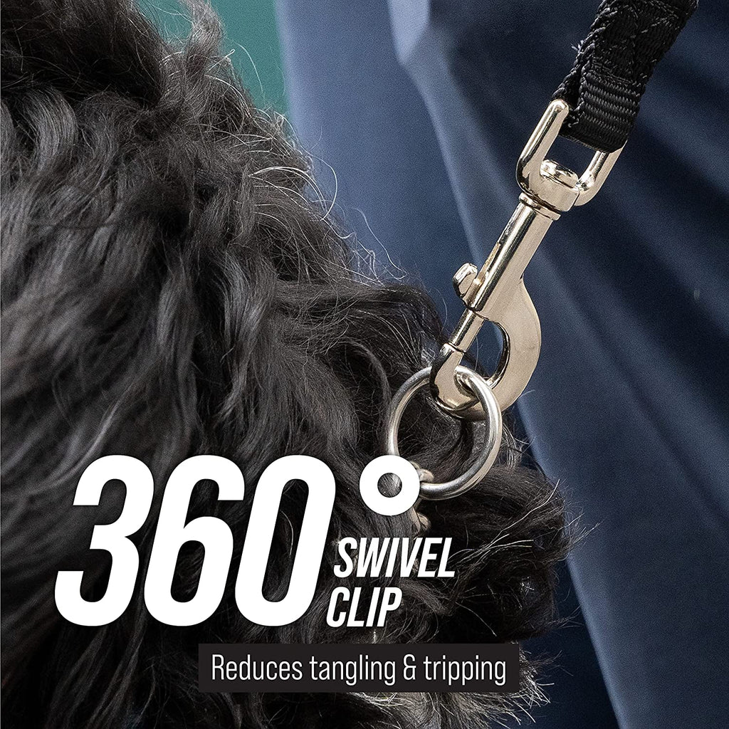 Free Range - 3/4 Inch Nylon Training Leash - for Large and Medium Dogs - Long Lead with Handle - Great for Training, Play, Camping, or Backyard (50 Ft, Orange)